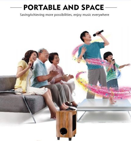 HOME CINEMA & KARAOKE SYSTEM 120W RMS | 2 Wireless Microphones